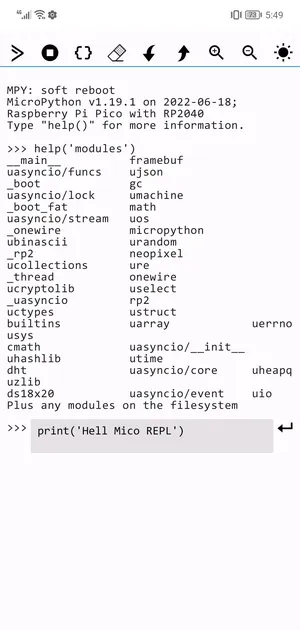 Micro REPL